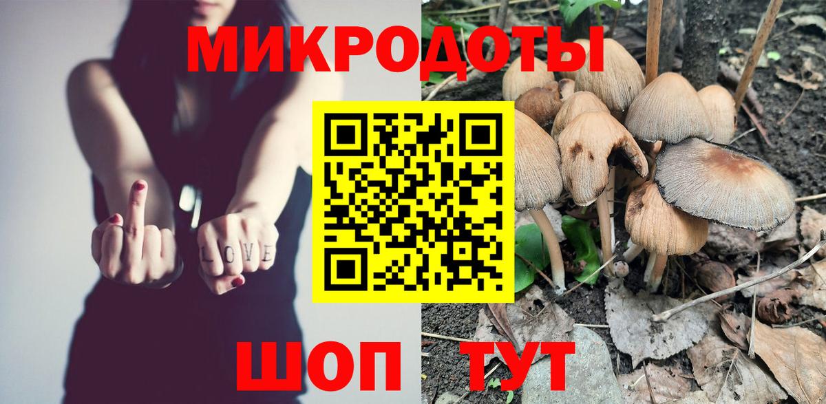 Славгород  цены наркотик  Вход с VPN  Псилоцибиновые грибы Cubensis 