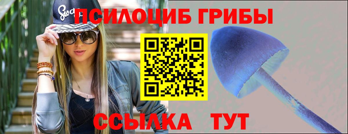Галлюциногенные грибы прущие грибы Славгород